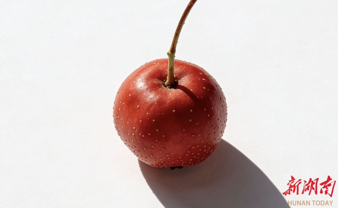 冬吃山楂，降脂降压