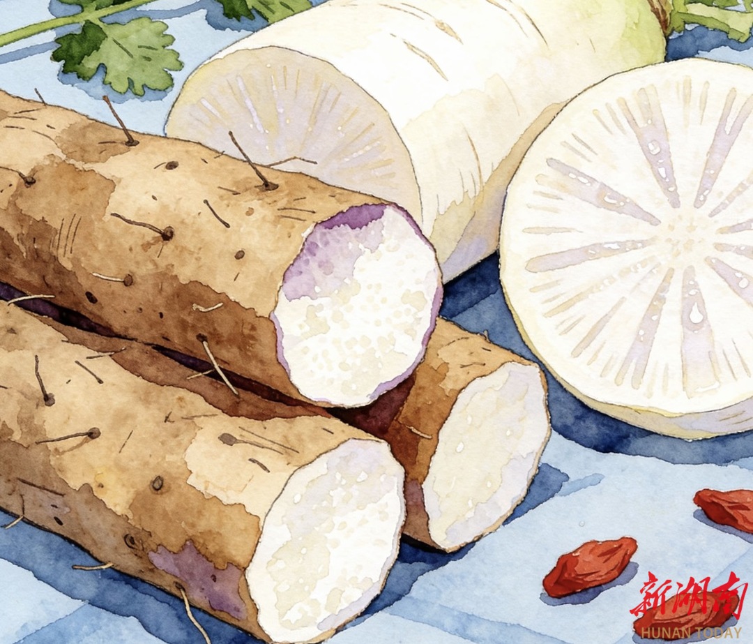 深冬时节，如何科学饮食？