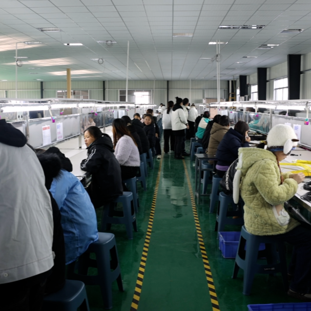 小村来了新工厂：岳阳市君山区广兴洲镇招商引资为乡村振兴添活力