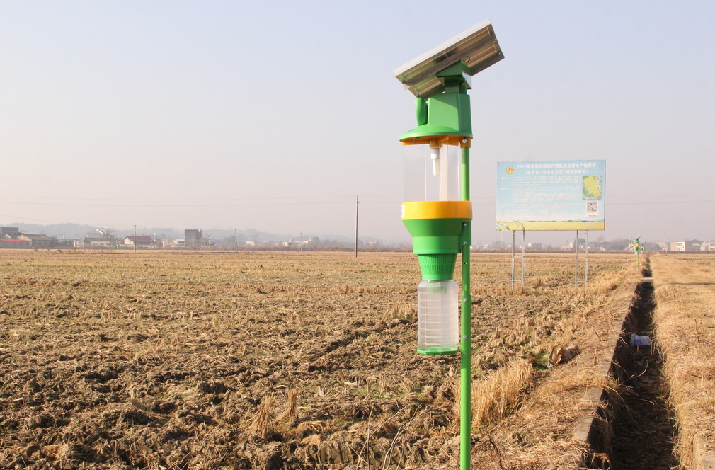 40盏“夜猫子卫士”上岗 湘潭县石潭镇千亩良田实现绿色防控