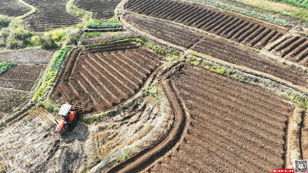 宜章县4万亩烟田翻耕起垄忙