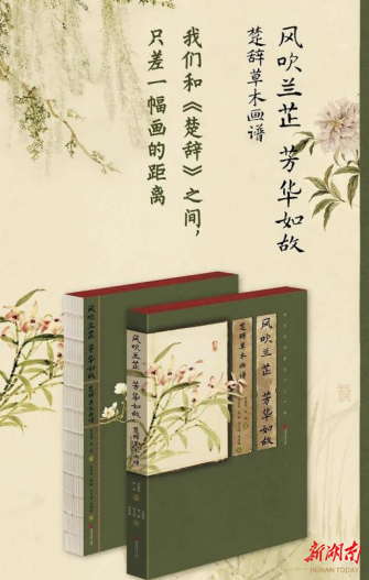 当楚辞的草木重新开花：一部画谱与一场跨越千年的对话