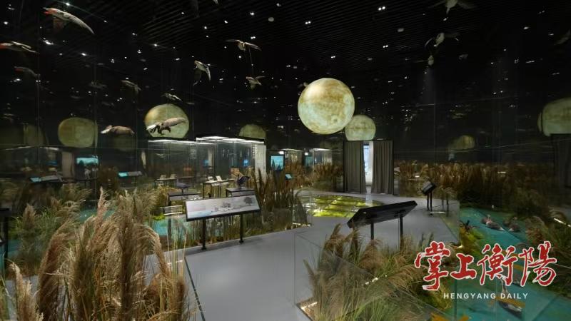 @属马、姓马、名字含“马”的游客！2026年可免费游回雁峰大雁文化体验馆