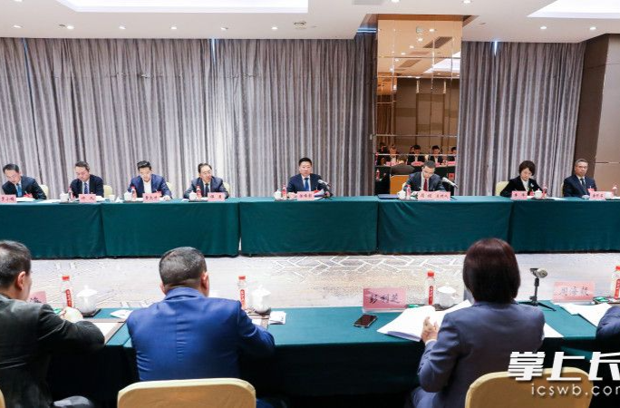 陈博彰参加岳麓区、长沙县代表团审议