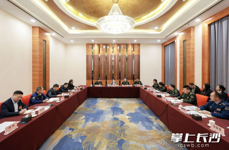 吴桂英参加解放军和武警部队代表团、天心区代表团审议