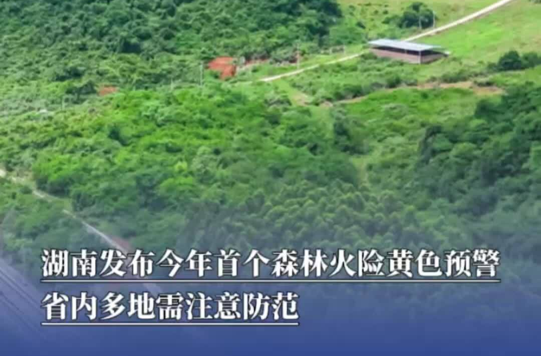 湖南发布今年首个森林火险黄色预警