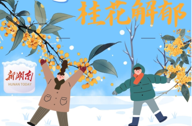 “医”图读懂｜冬天想拥有更好的情绪？中医推荐这款花……