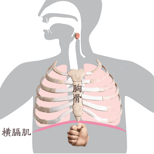 周末·知识丨“海姆立克急救法”更新了！（建议大家都学一下）