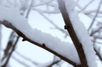 因降雪及路面结冰 3省区11个路段封闭管控