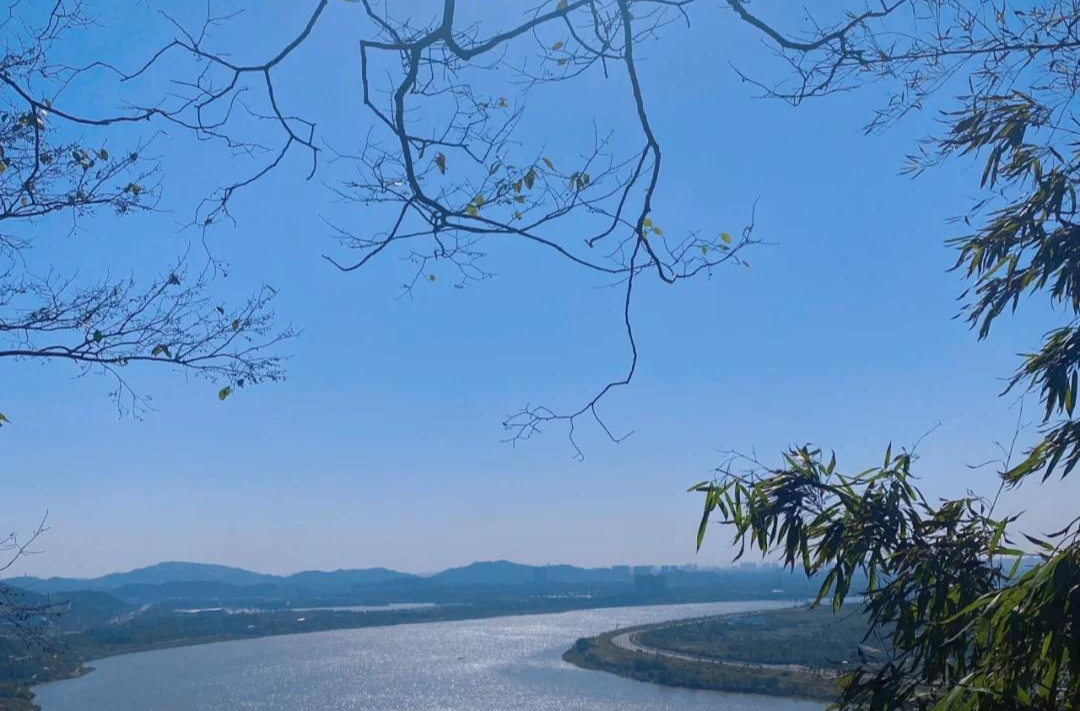 乡村振兴看湘潭丨省级美丽乡村岳塘区昭山镇白鹤村见闻