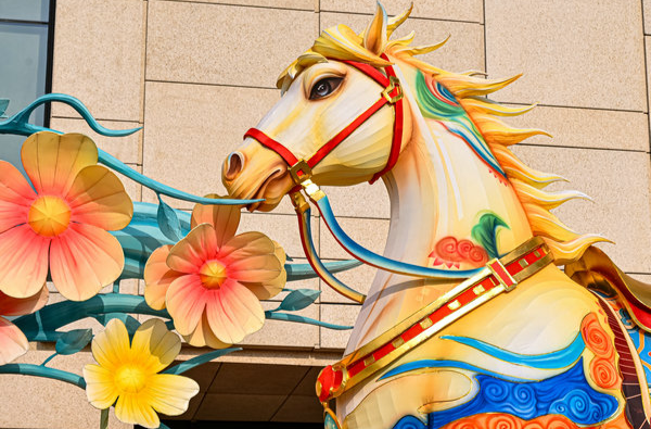 暴涨近10倍！西红柿价格为何走高？