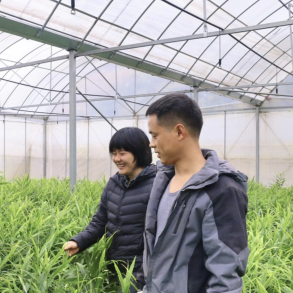 凤凰县“科技外卖”直送产业一线@湖南日报市州