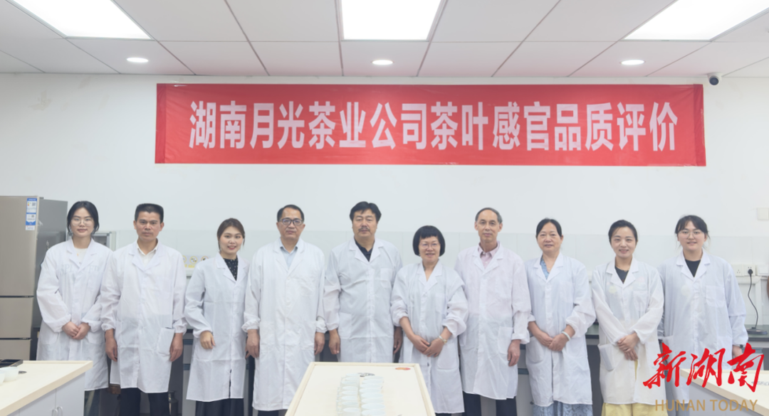 月光“黄精红茶”破局传统茶饮赛道