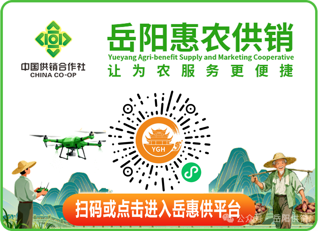 汨罗盘活闲置大棚打造乡村振兴“聚宝盆”