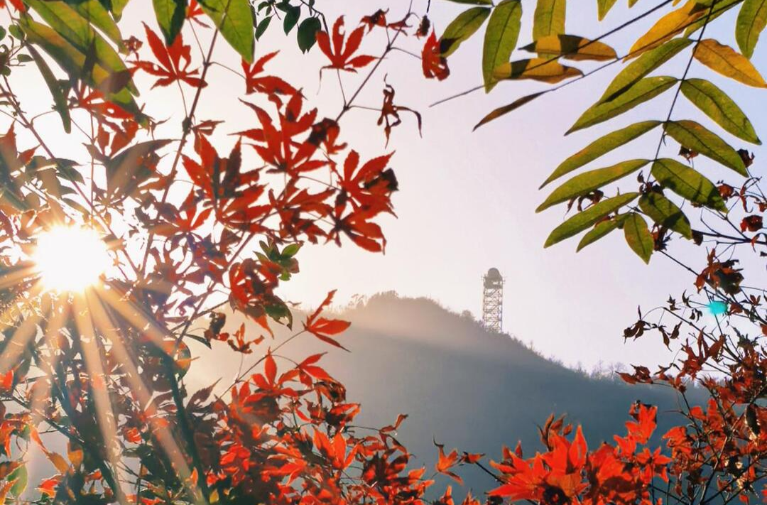 有獎(jiǎng)?wù)骷R頭藏暖 邂逅生活的“小確幸”