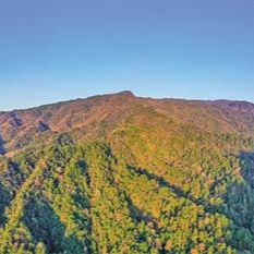 散文｜小溪四怪