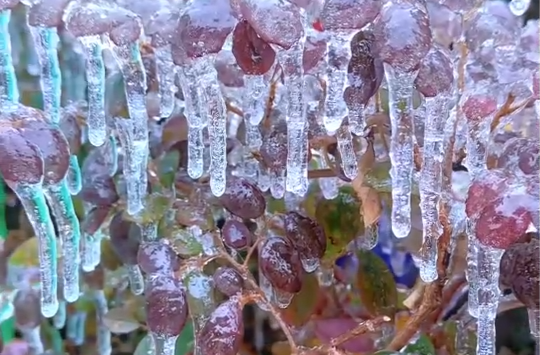 四省四级应急响应！雨雪冰冻防范指南快查收