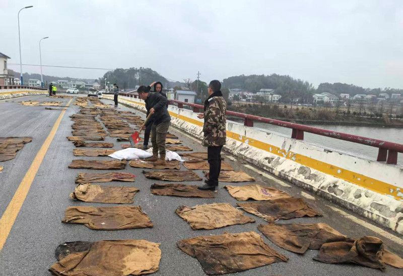 闻冰而动，彻夜守护！长沙县交通运输局打响抗冰保畅攻坚战