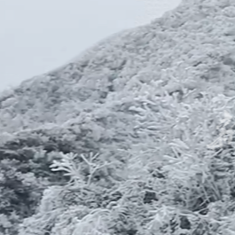 桃源乌云界雾凇美不胜收