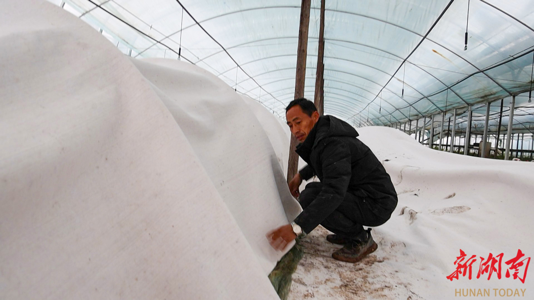 西湖管理区：迎寒而上 抢抓农时备春耕