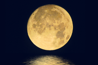 娄底文苑（270）|同碗的月光——致回家的你