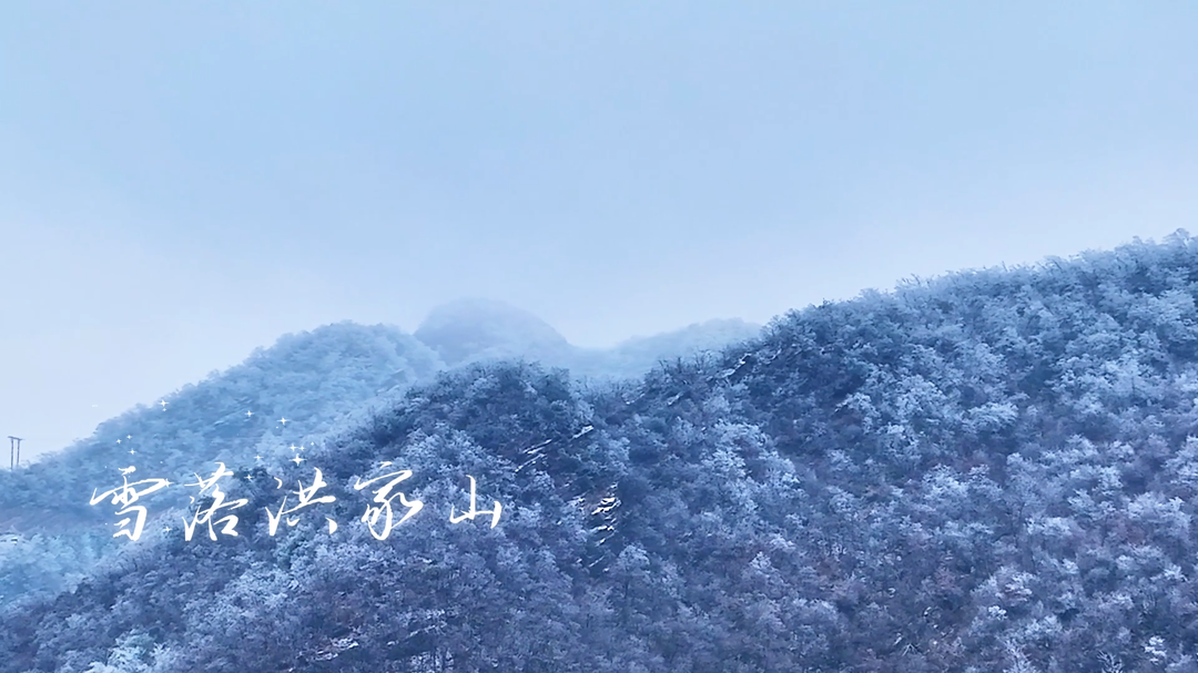 视频|雪落洪家山，静美如画
