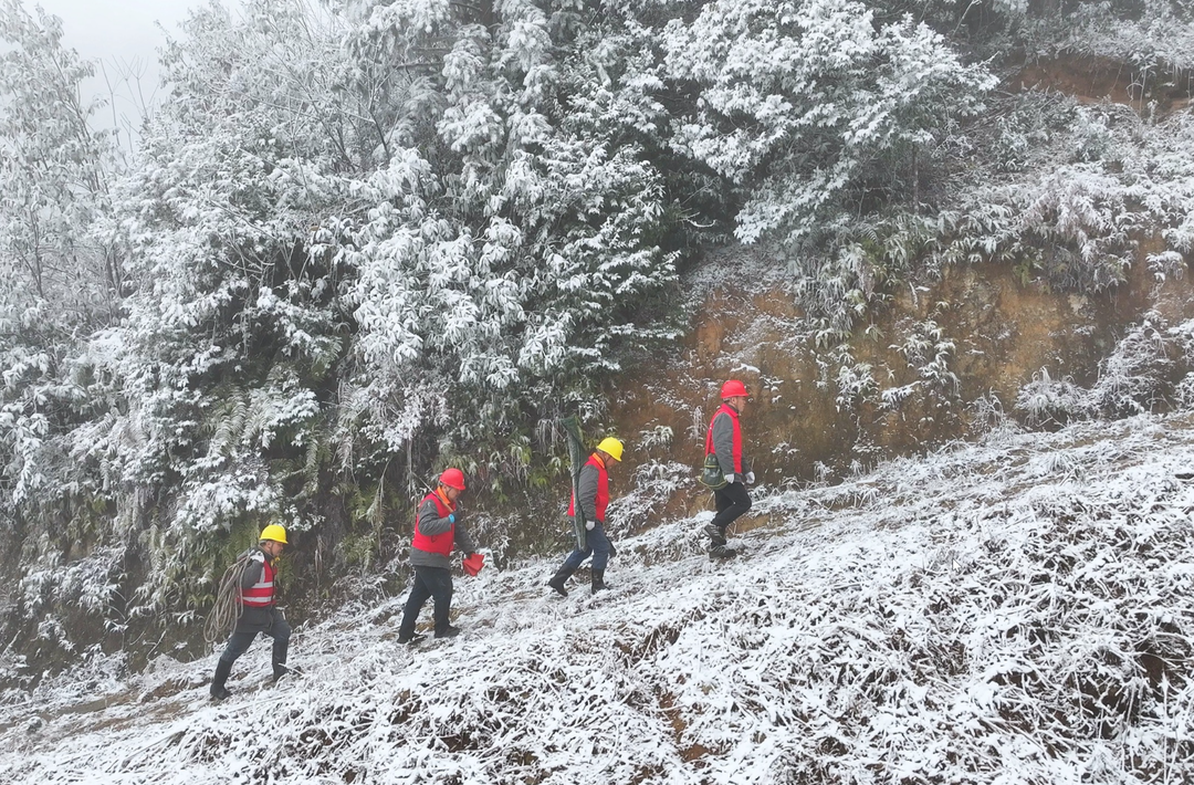 国网株洲供电公司：迎战寒冬考验 多举措筑牢保供电“安全堤”