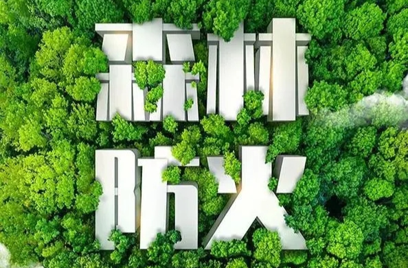 网格布防 智慧护林 金洞林场石鼓源分场探索现代森林防火新路径