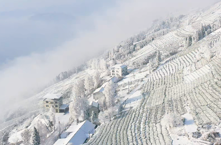 这是属于常德人的“雪乡”，石门东山峰的雾凇太美了