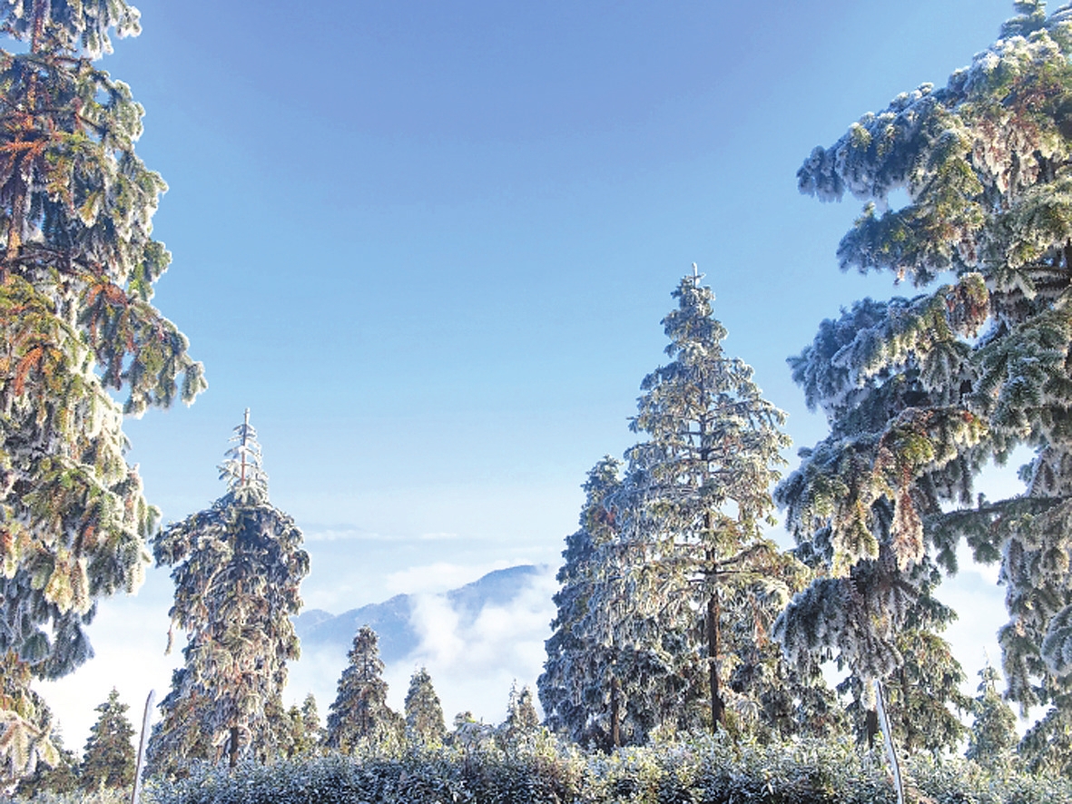 连云山雾凇“上妆”森林公园变“琉璃仙境”