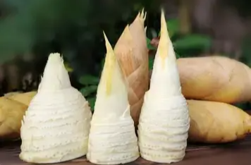 冬笋炖肉香，“发物”能不能吃？