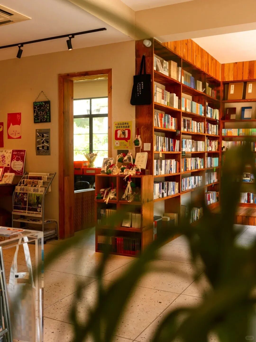 镜中书店.jpg (1).jpg