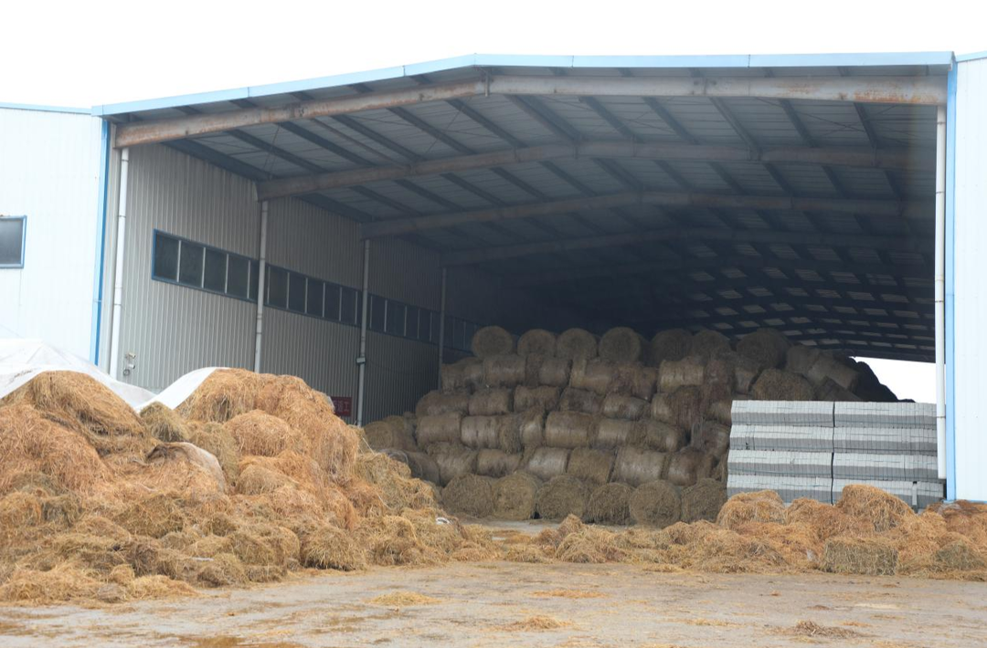 华容县“秸秆经济”赋能农业绿色转型