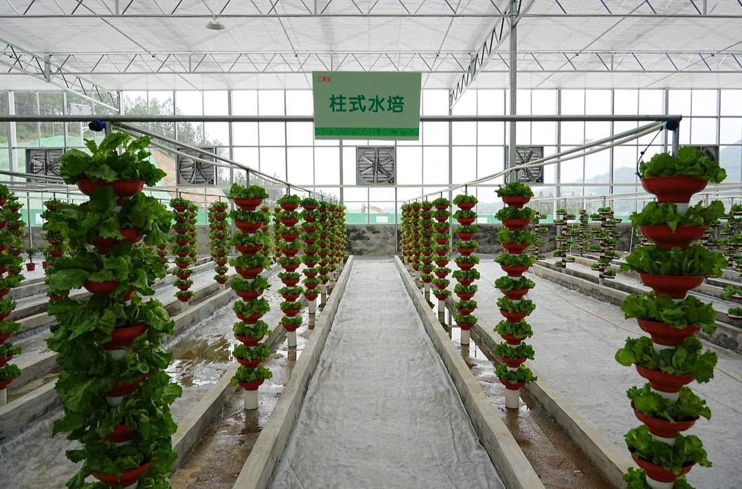 新田以才兴产打开高端市场@湖南日报