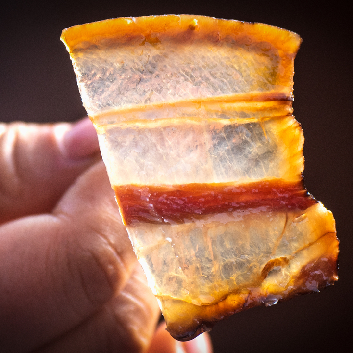 签约金额6300余万元！首届湘西腊肉大赛成绩单出炉