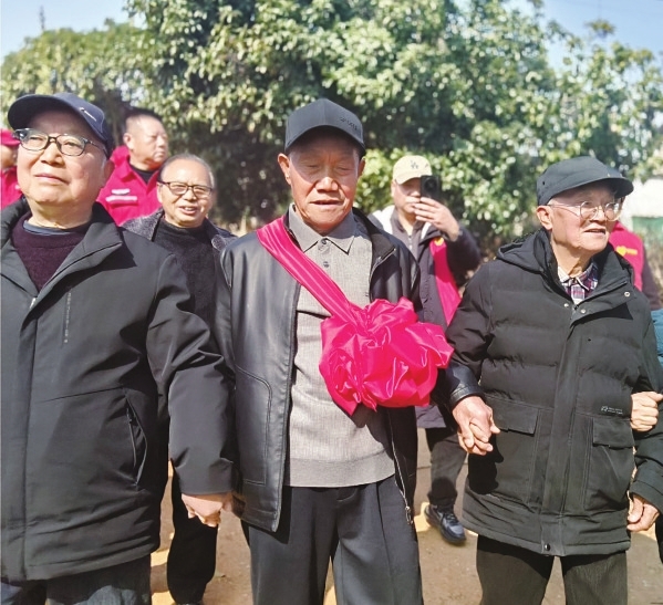 白发苍苍，找回儿时的竹影山岗