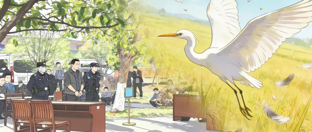 肆意捕鸟贪“口腹之欲”，“刑”还是“不刑”？