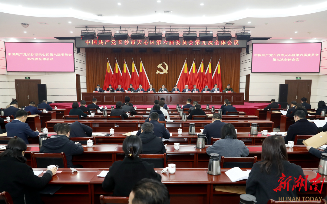 天心区委六届九次全会描绘“十五五”发展新蓝图