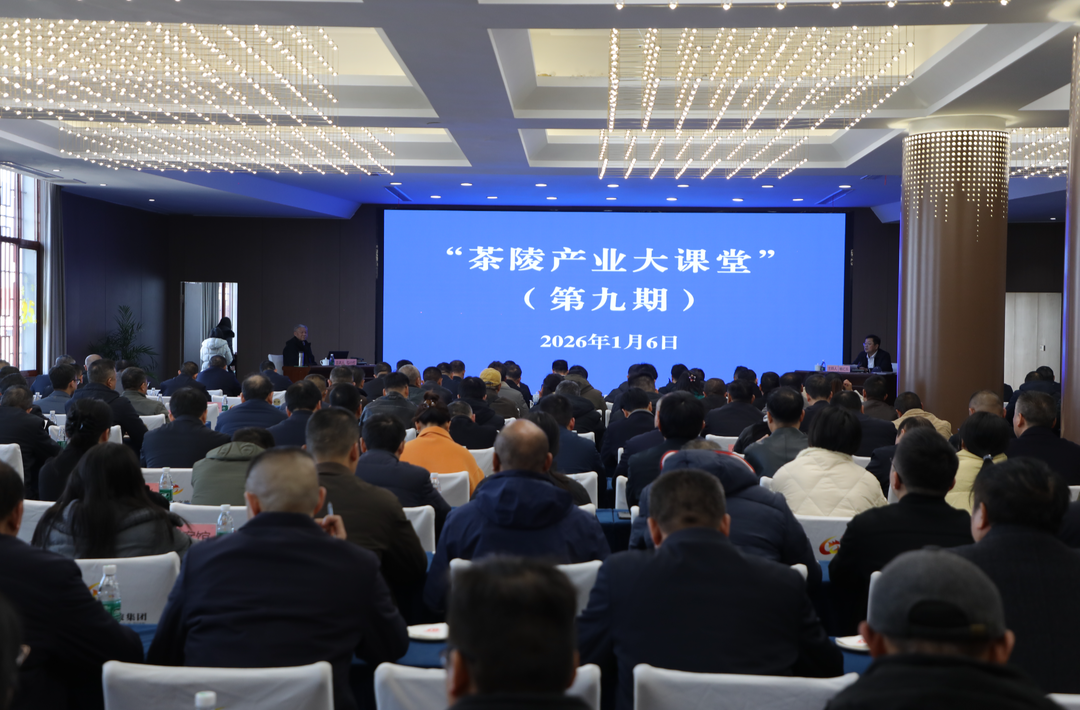 茶陵产业大课堂重塑县域发展思维@湖南日报观察头条