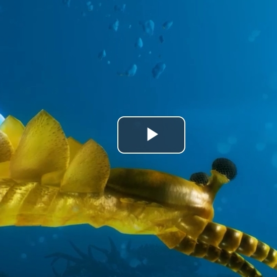 揭开显生宙首次生物大灭绝面纱 花垣生物群媲美两大世界遗产