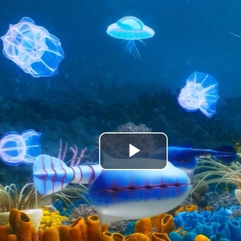 全球顶级软躯体化石生物群为何出现在花垣？