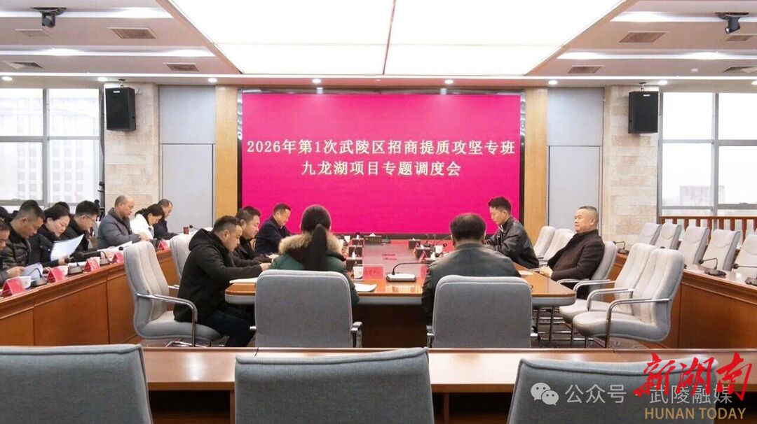 武陵区召开招商项目提质攻坚专题调度会