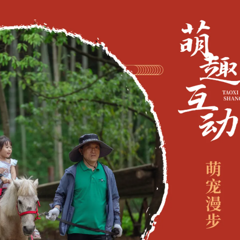 乐享桃喜 山谷集福 | 闯进XR全感空间，在桃花源里过个幸福快乐年