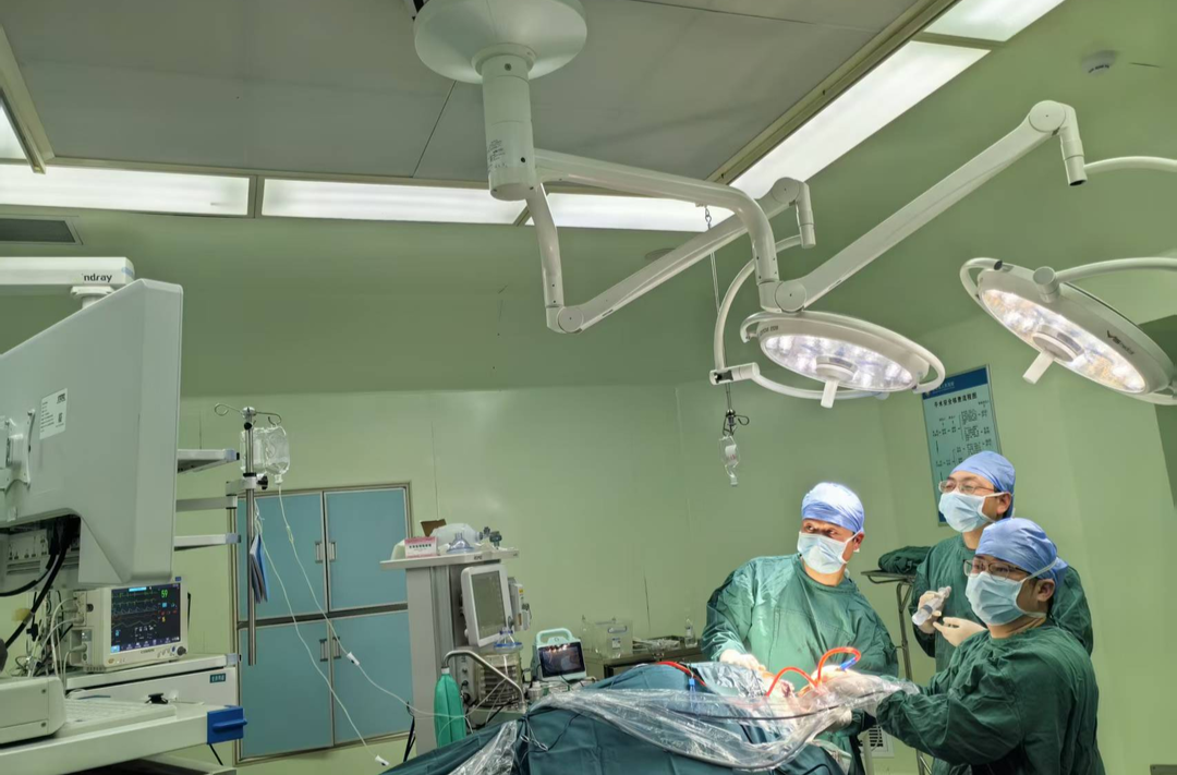 实现“大病不出县”！南华附二神经内镜团队打造医联体急重症救治新范式