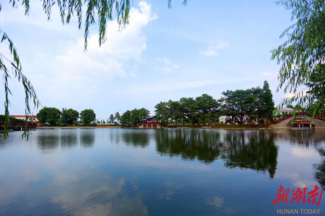 首届金甲岭萝卜节火热来袭 四大玩法解锁衡阳乡村年味狂欢