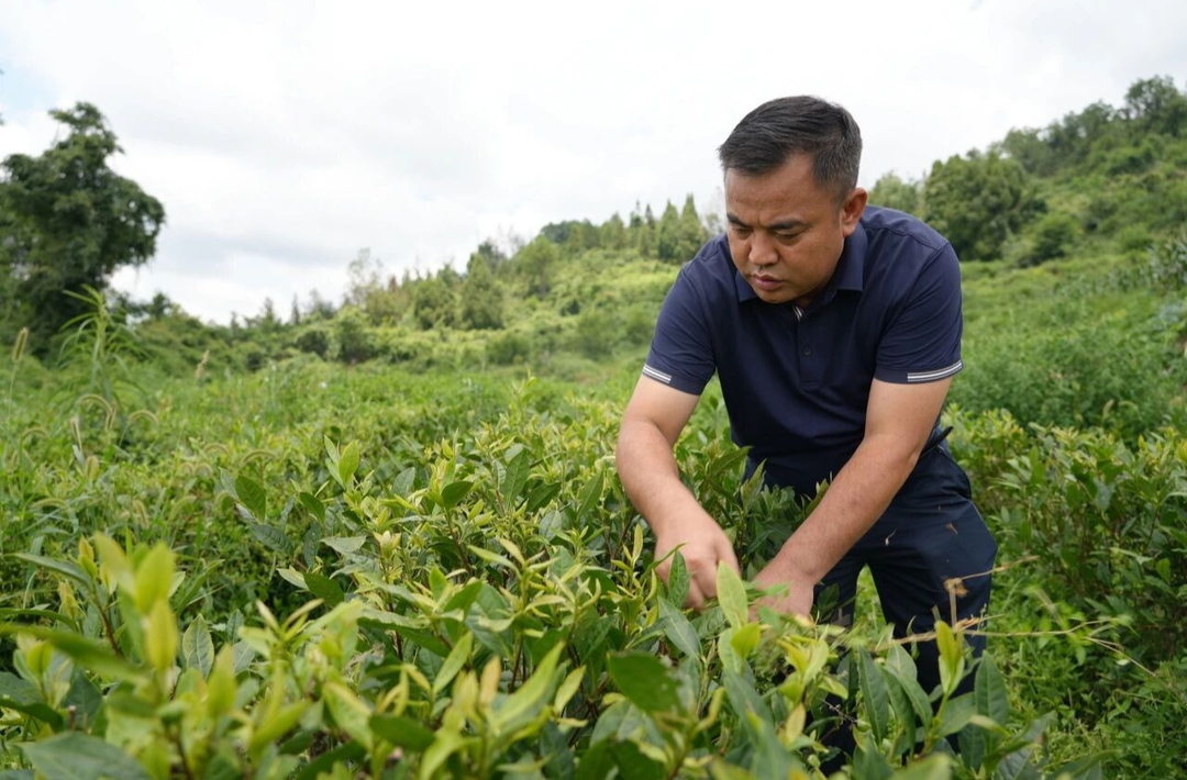 人民的代表｜省人大代表彭清东：群众的笑容是最大的肯定@湖南日报要闻