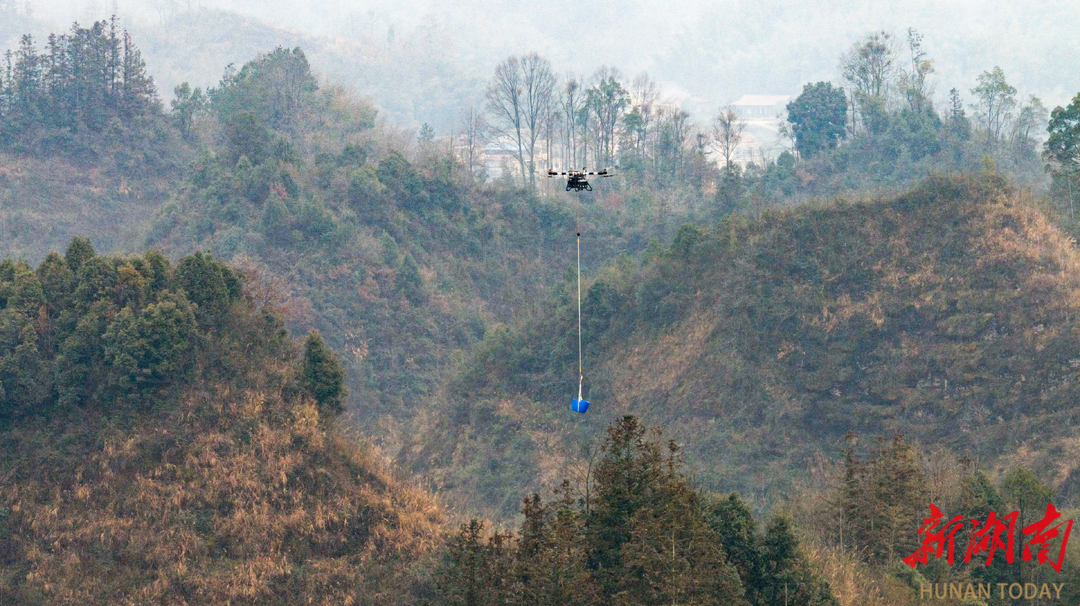 常德：“绿色”施工让供电更稳茶山更青