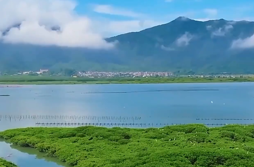 新思想引领新征程丨守护大美湿地 建设美丽中国