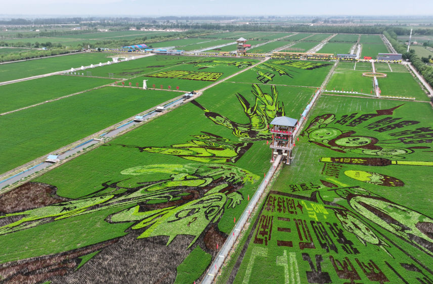 习近平总书记关切事｜幸福花开新农家