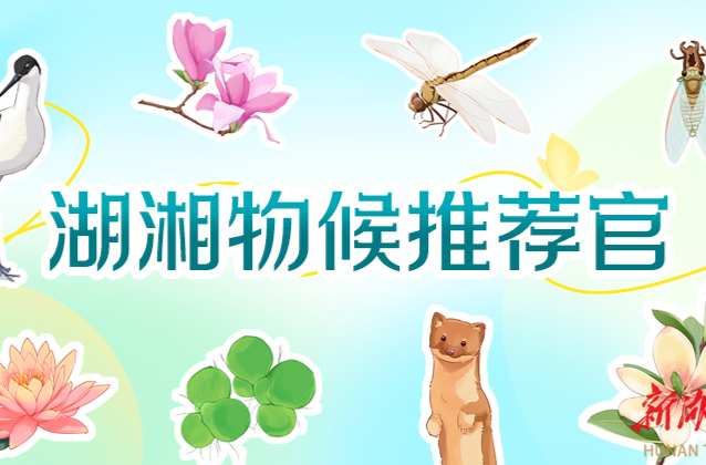 立春是什么颜色？湖南日报邀你来当“湖湘物候推荐官”！